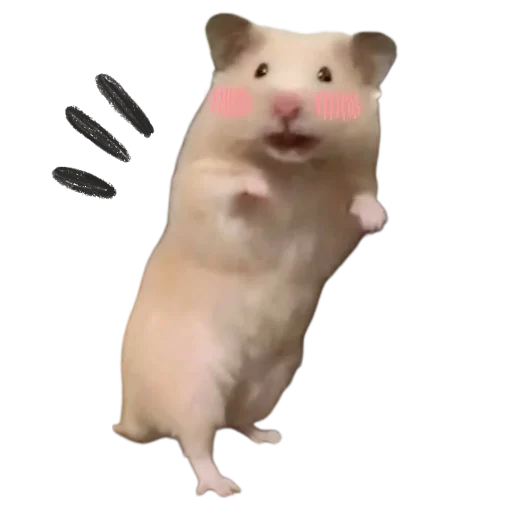 Sticker Hamsterbest1 - 1