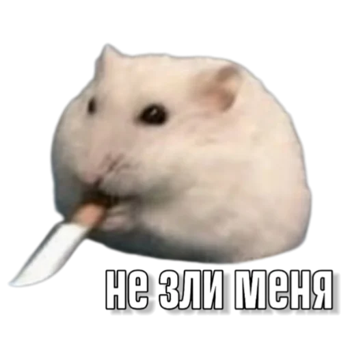 Стикер Hamsterbest1 - 1