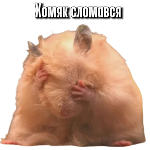 Sticker Hamsterbest1 - 1