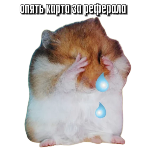 Стикер Hamsterbest1 - 1