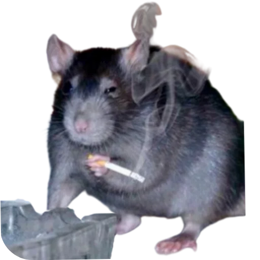 Sticker Hamsterbest1 - 1