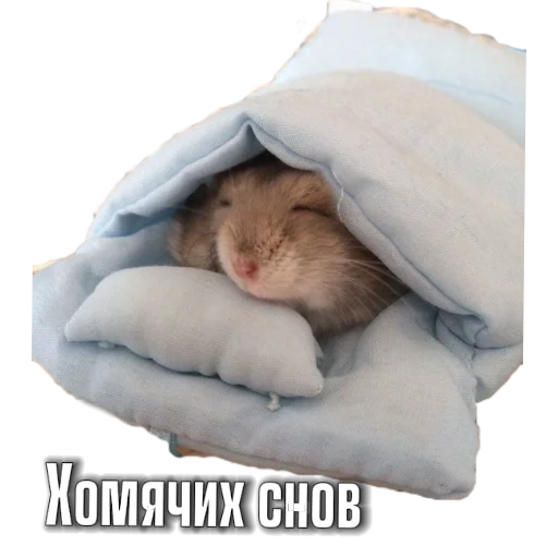 Sticker Hamsterbest1 - 1