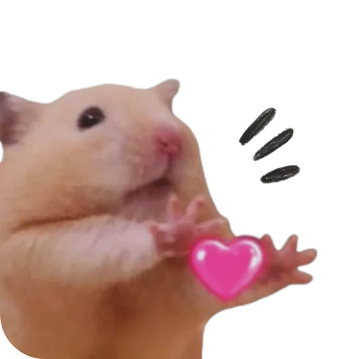 Sticker Hamsterbest1 - 1