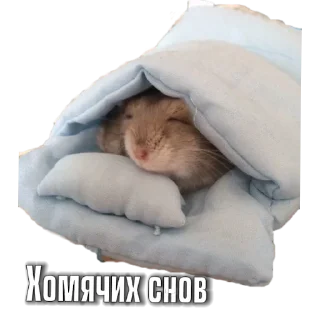 Sticker Тапаем и плачем: @hamster_kombat_combo_new - 5