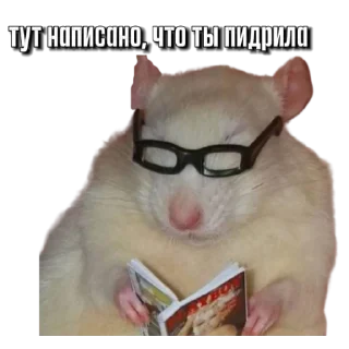 Sticker Тапаем и плачем: @hamster_kombat_combo_new - 3