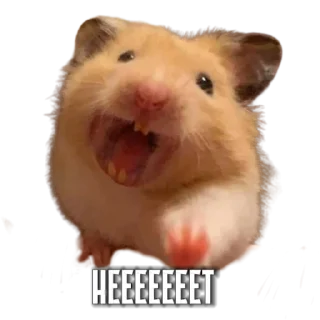 Sticker Тапаем и плачем: @hamster_kombat_combo_new - 11