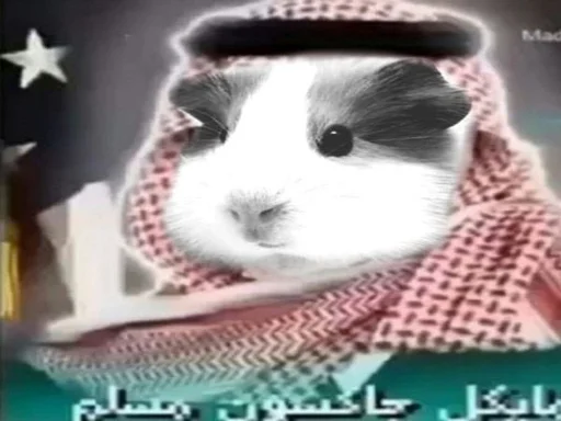 Sticker ХоМяЧиЙ дВиЖ @soundsfromthevagina - 10