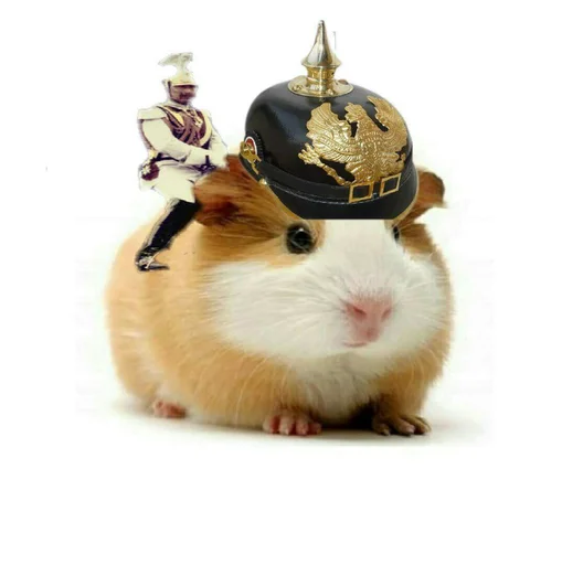 Sticker ХоМяЧиЙ дВиЖ @soundsfromthevagina - 9