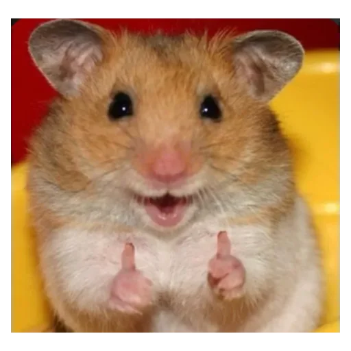 Стикер Hamyau - 1