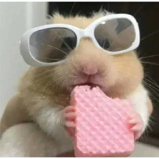 Стикер Хамяу - 1