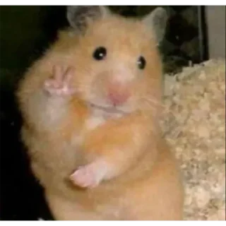 Стикер Хамяу - 3