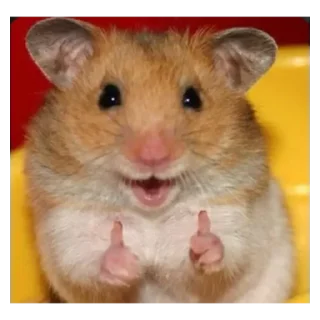 Стикер Хамяу - 6