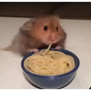 Стикер Хамяу - 2