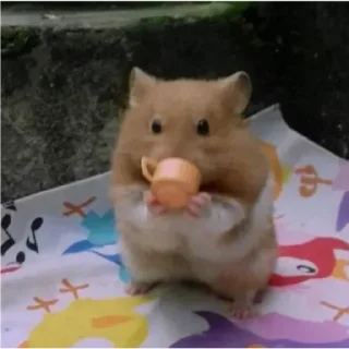 Стикер Хамяу - 0