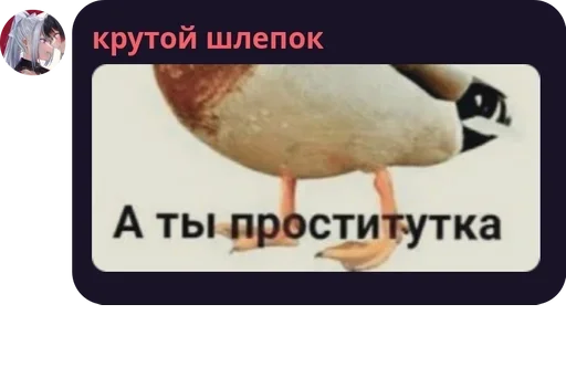 Sticker шлепок :: @fStikBot - 7