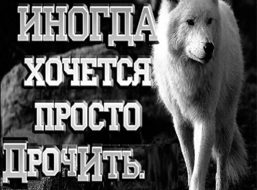 Стикер Hans Landas Stickerzaebal v3.0 by @fStikBot - 9