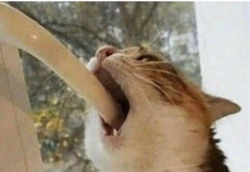 Стикер Hans Landas Stickerzaebal v3.0 by @fStikBot - 8