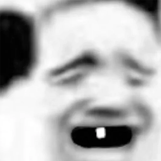 closeup black monochrome