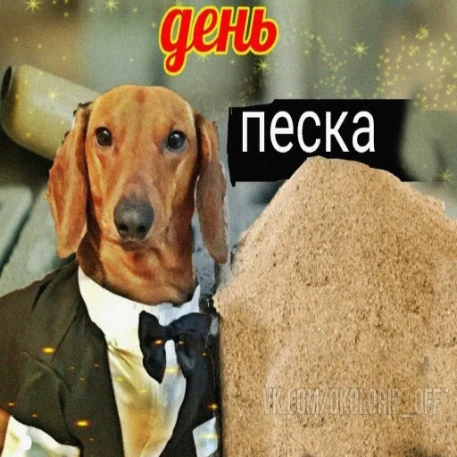 животное воротник млекопитающее