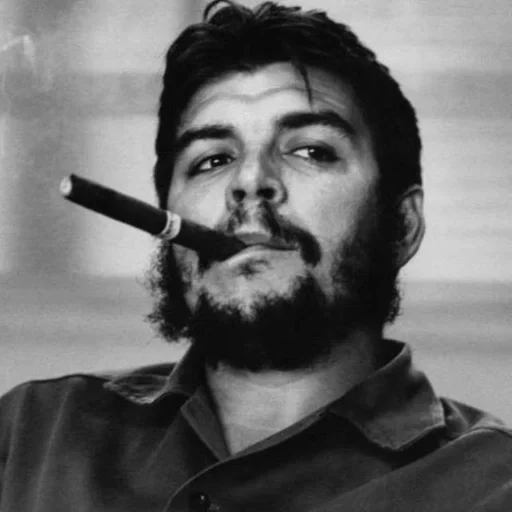 человеческое лицо человеческая борода портрет