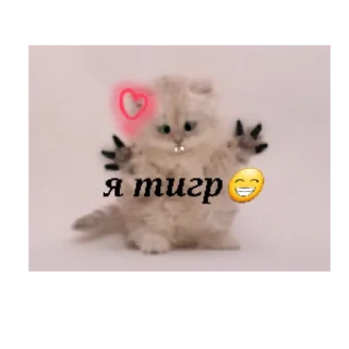 Стикер Happy cats - 2