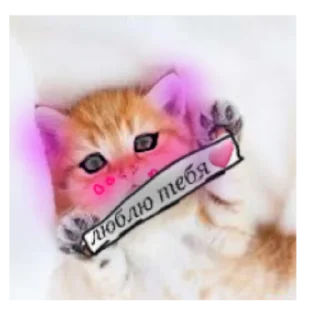 Стикер Happy cats - 6