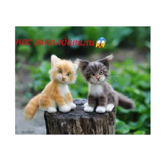 Стикер Happy cats - 11