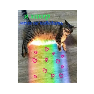 Стикер Happy cats - 8