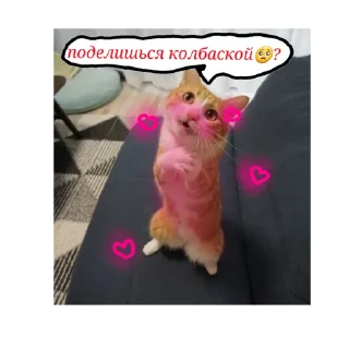 Стикер Happy cats - 7