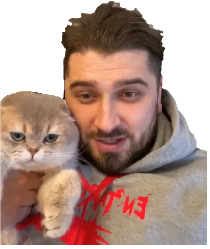 animal mammal person