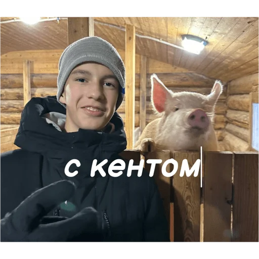 Стикер Harmony735812 - 1