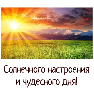 Sticker Гармония Счастье - 10