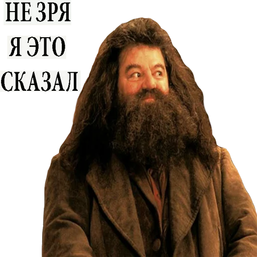 человеческое лицо человеческая борода волосы на лице