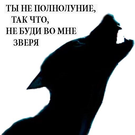 СМС скриншот млекопитающее