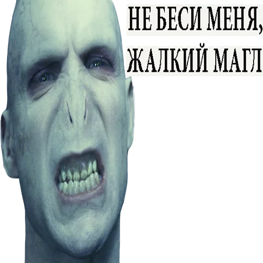 челюсть человеческое лицо мужчина