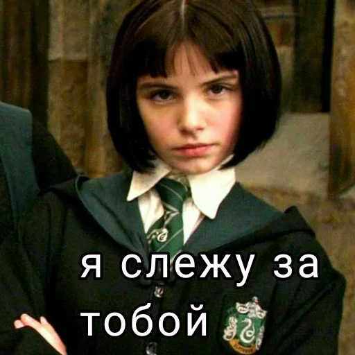 Стикер Harry Potter - 4