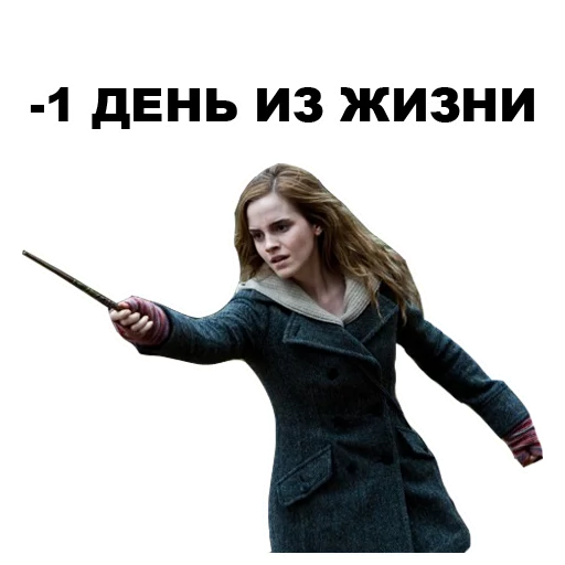 Sticker Гарри Поттер @eeZee_stickers - 2