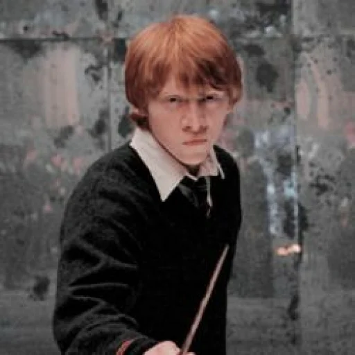 Стикер Harry potter от @meow_biitches - 1