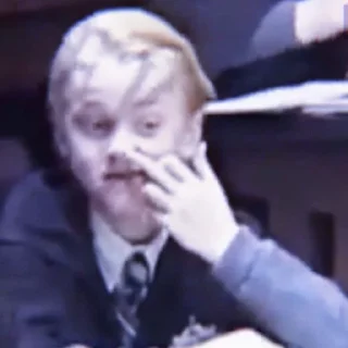 Стикер ✧ˎˊ Harry potter Memes• @Leviosaasticker - 3