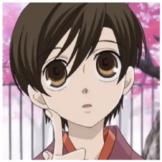 Sticker Haruhi Fujioka - 8