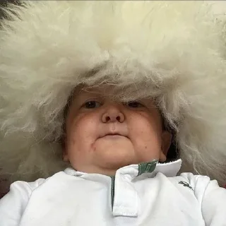 Sticker HasbulaHushetskiy - 5