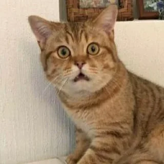 Sticker HatersGonnaHate - 5