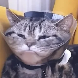 Sticker HatersGonnaHate - 4