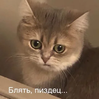 Sticker HatersGonnaHate - 7