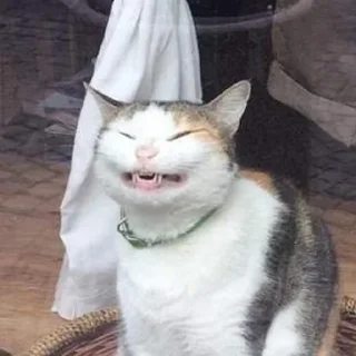 Sticker HatersGonnaHate - 9