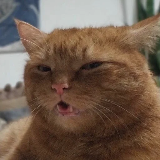 Стикер HatersGonnaSuck - 1