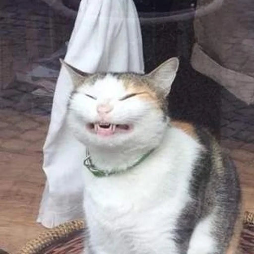 Sticker HatersGonnaSuck - 1