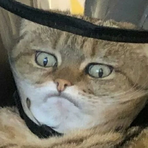 Sticker HatersGonnaSuck - 1