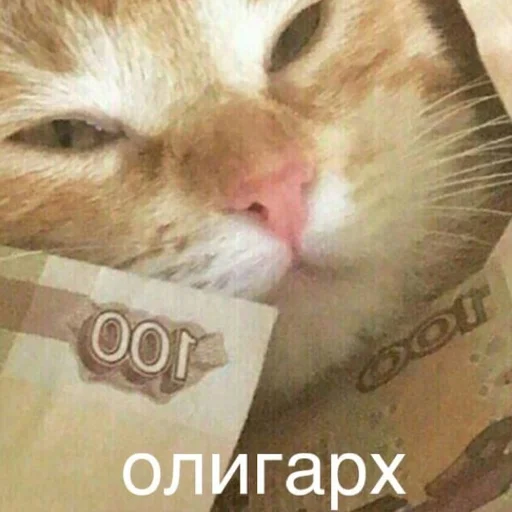 Стикер HatersGonnaSuck - 1