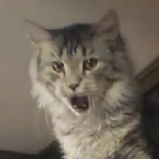 Стикер HatersGonnaSuck - 1